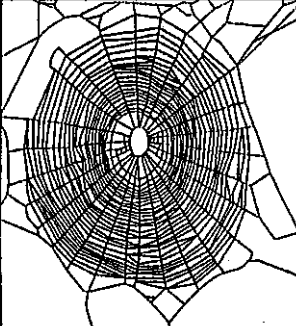 Control spider's orb web